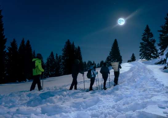 Offerta settimana bianca a gennaio ad Asiago