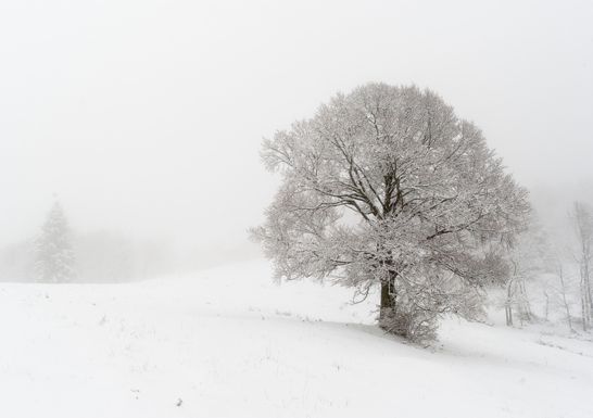 Spezielle 7 Nächte im Asiago Wellness + Melette-Skipass